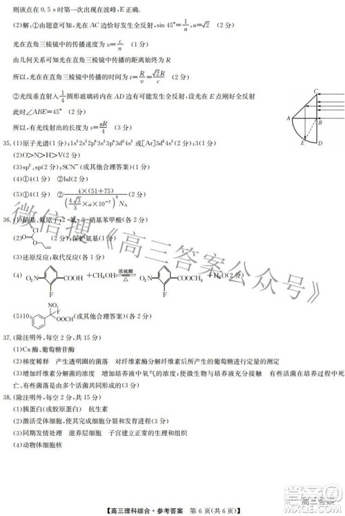 2022九师联盟高三4月质量监测理科综合试题及答案