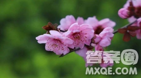 我感到了愧疚为题作文600字 以我感到了愧疚为题的作文600字