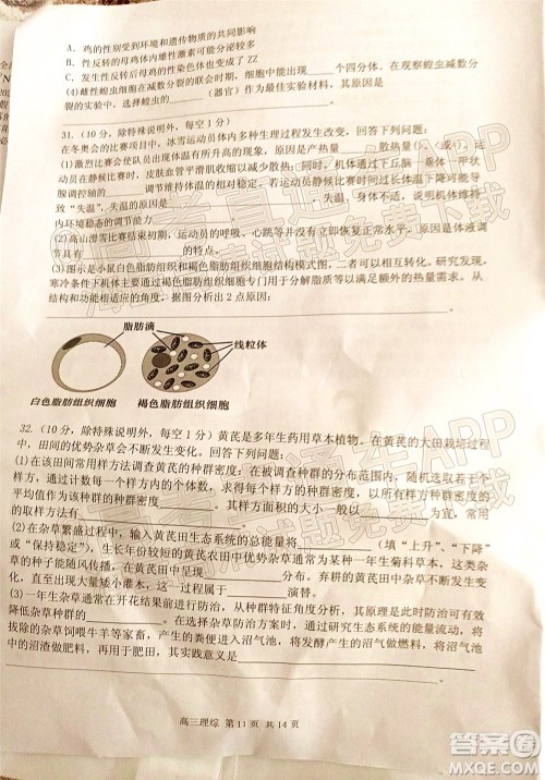 宜春市2022年高三模拟考试理科综合试题及答案 宜春市2022年高三模拟考试理科综合试题及答案