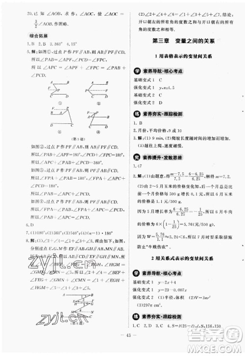 北京师范大学出版社2022初中同步练习册数学七年级下册北师大版答案