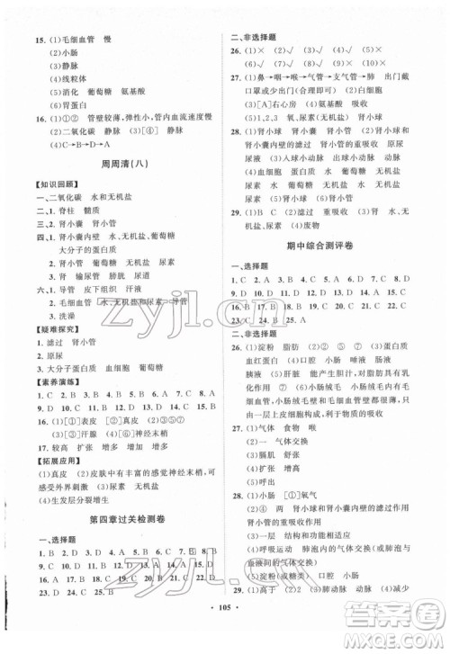 山东教育出版社2022初中同步练习册分层卷生物学七年级下册济南版答案 山东教育出版社2022初中同步练习册分层卷生物学七年级下册济南版答案