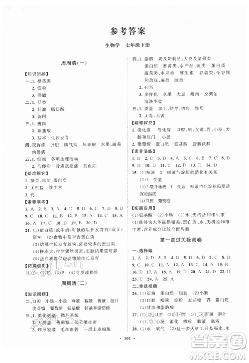 山东教育出版社2022初中同步练习册分层卷生物学七年级下册济南版答案 山东教育出版社2022初中同步练习册分层卷生物学七年级下册济南版答案