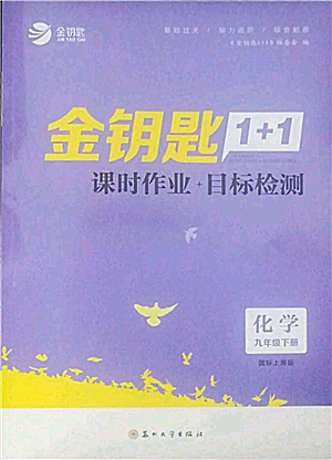 苏州大学出版社2022金钥匙1+1课时作业目标检测九年级下册化学上海版参考答案