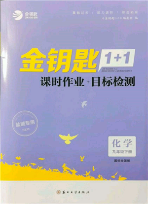 苏州大学出版社2022金钥匙1+1课时作业目标检测九年级下册化学全国版盐城专版参考答案