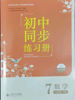 北京师范大学出版社2022初中同步练习册数学七年级下册北师大版答案