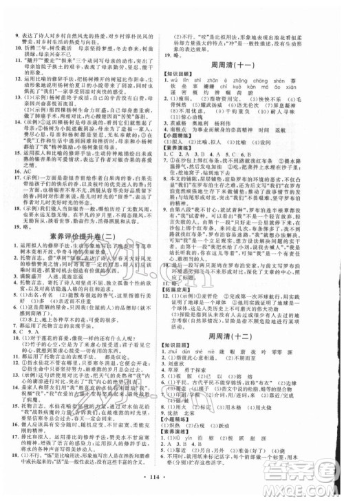 山东教育出版社2022初中同步练习册分层卷语文七年级下册五四制人教版答案