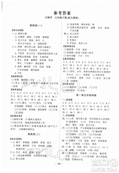 山东教育出版社2022初中同步练习册分层卷生物学七年级下册人教版答案 山东教育出版社2022初中同步练习册分层卷生物学七年级下册人教版答案