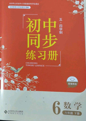 北京师范大学出版社2022初中同步练习册数学六年级下册五四学制鲁教版答案