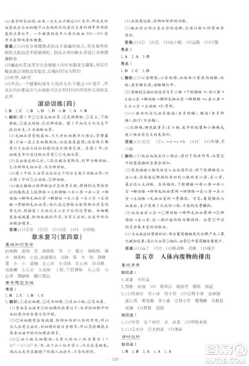 吉林教育出版社2022练案课时作业本七年级下册生物学人教版参考答案 吉林教育出版社2022练案课时作业本七年级下册生物学人教版参考答案