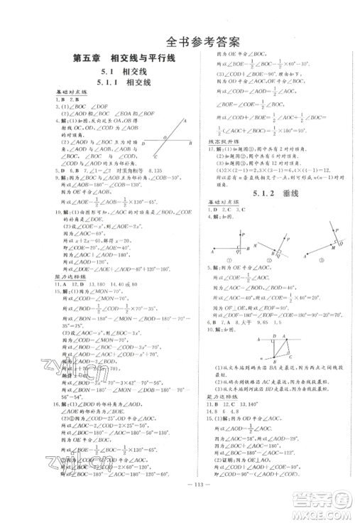 吉林教育出版社2022练案课时作业本七年级下册数学人教版参考答案