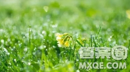 描写下雨场景的作文600字 关于描写下雨场景的作文600字