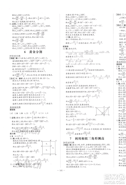 陕西人民教育出版社2022练案五四学制八年级数学下册鲁教版参考答案