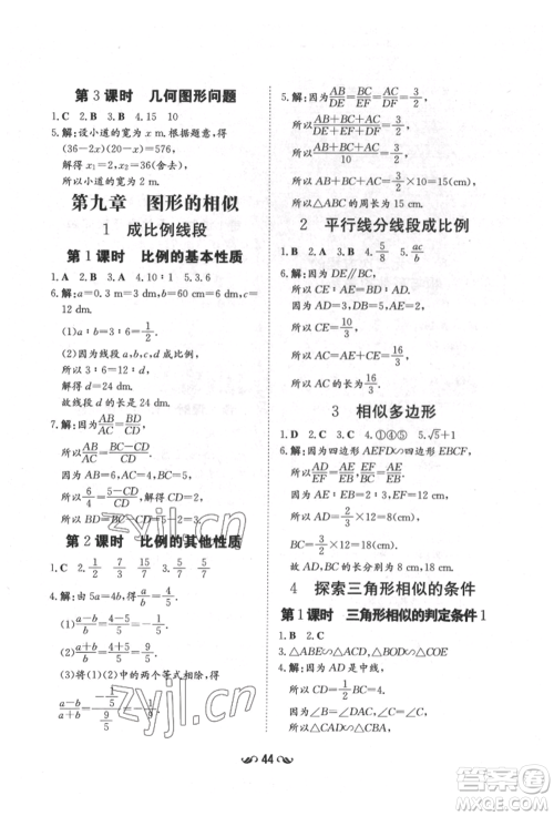 陕西人民教育出版社2022练案五四学制八年级数学下册鲁教版参考答案