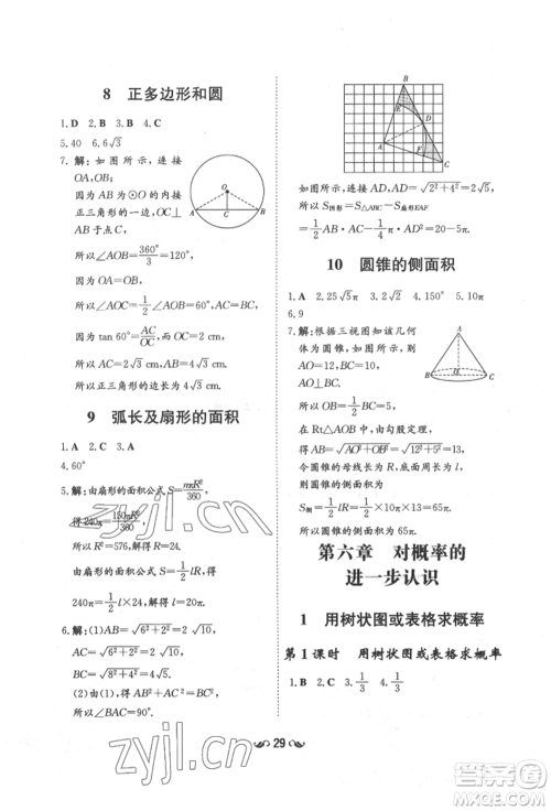 陕西人民教育出版社2022练案五四学制九年级数学下册鲁教版参考答案 陕西人民教育出版社2022练案五四学制九年级数学下册鲁教版参考答案