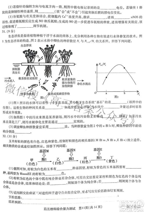 安徽省鼎尖联盟2022届4月联考高三理科综合试题及答案