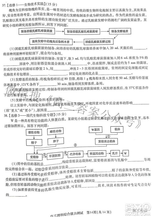 安徽省鼎尖联盟2022届4月联考高三理科综合试题及答案