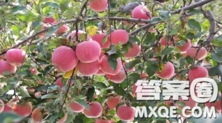 我最喜欢的地方作文300字 写我最喜欢的地方三年级作文300字 我最喜欢的地方作文300字 写我最喜欢的地方三年级作文300字