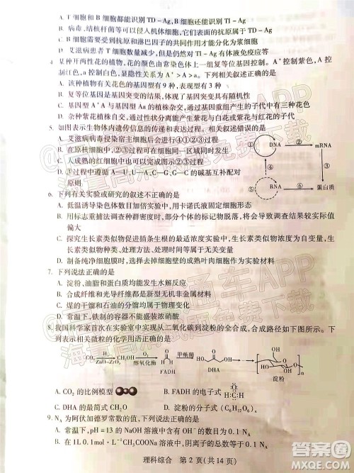 2022年宝鸡市高考模拟检测三理科综合试题及答案