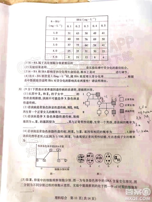 2022年宝鸡市高考模拟检测三理科综合试题及答案