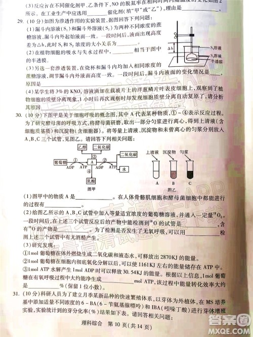 2022年宝鸡市高考模拟检测三理科综合试题及答案