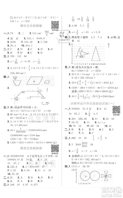 浙江教育出版社2022阳光同学课时达标训练六年级数学下册R人教版浙江专版答案