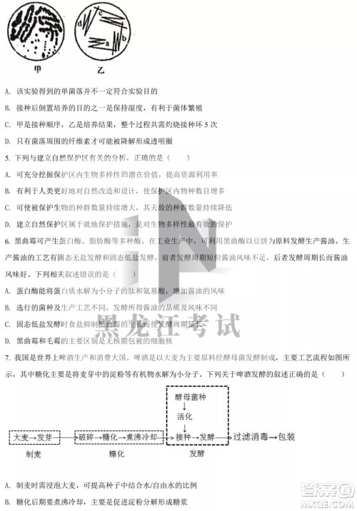 大庆实验中学实验一部2020级高二下学期4月阶段性质量检测生物学试题及答案 大庆实验中学实验一部2020级高二下学期4月阶段性质量检测生物学试题及答案