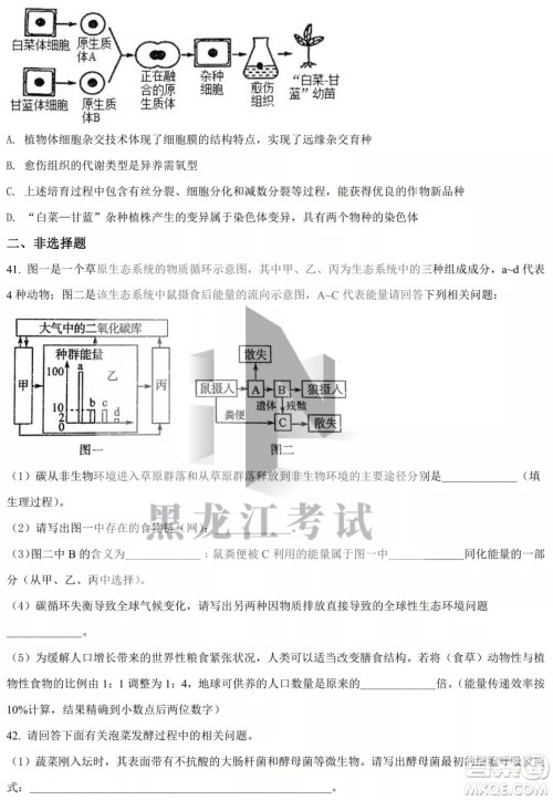 大庆实验中学实验一部2020级高二下学期4月阶段性质量检测生物学试题及答案 大庆实验中学实验一部2020级高二下学期4月阶段性质量检测生物学试题及答案