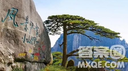 顽强的生命主题作文600字 写顽强的生命的主题作文600字 顽强的生命主题作文600字 写顽强的生命的主题作文600字