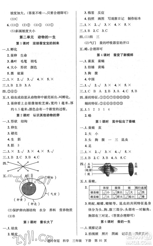 新疆科学技术出版社2022课时夺冠三年级科学下册JK教科版答案