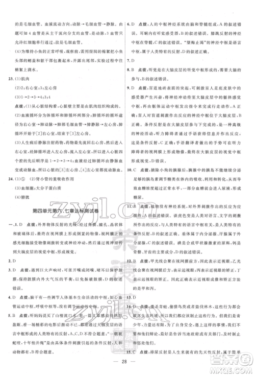 吉林教育出版社2022点拨训练课时作业本七年级下册生物人教版参考答案 吉林教育出版社2022点拨训练课时作业本七年级下册生物人教版参考答案