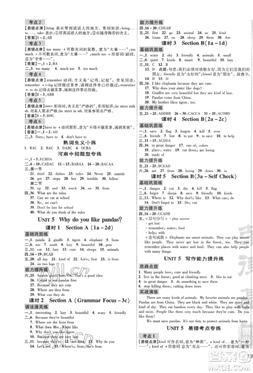 安徽教育出版社2022点拨训练课时作业本七年级下册英语人教版河南专版参考答案 安徽教育出版社2022点拨训练课时作业本七年级下册英语人教版河南专版参考答案