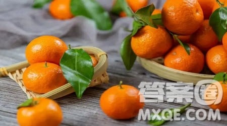 孩子拿着橘子问妈妈材料作文600字 关于孩子拿着橘子问妈妈的材料作文600字 孩子拿着橘子问妈妈材料作文600字 关于孩子拿着橘子问妈妈的材料作文600字