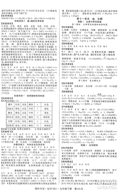 安徽师范大学出版社2022课时夺冠九年级化学下册RJ人教版答案 安徽师范大学出版社2022课时夺冠九年级化学下册RJ人教版答案