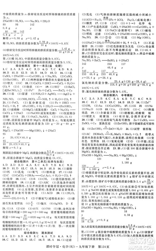 安徽师范大学出版社2022课时夺冠九年级化学下册RJ人教版答案