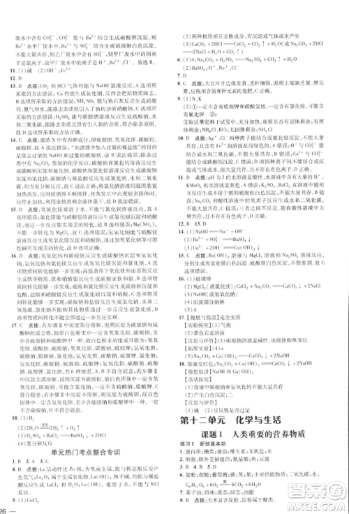 吉林教育出版社2022点拨训练课时作业本九年级下册化学人教版参考答案
