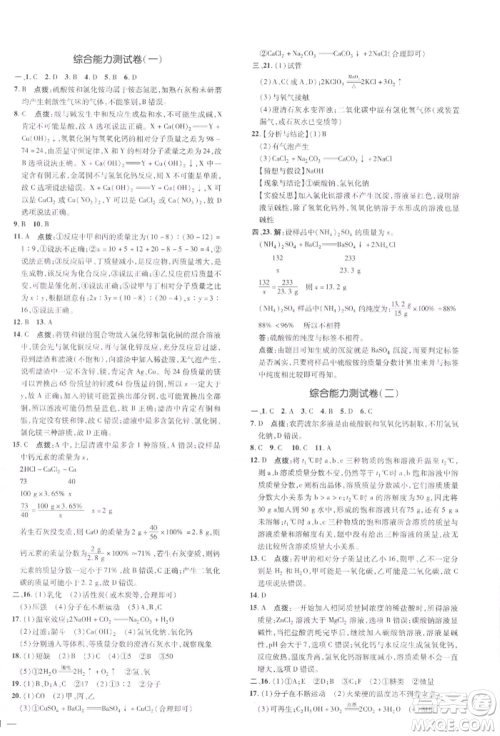 吉林教育出版社2022点拨训练课时作业本九年级下册化学人教版参考答案