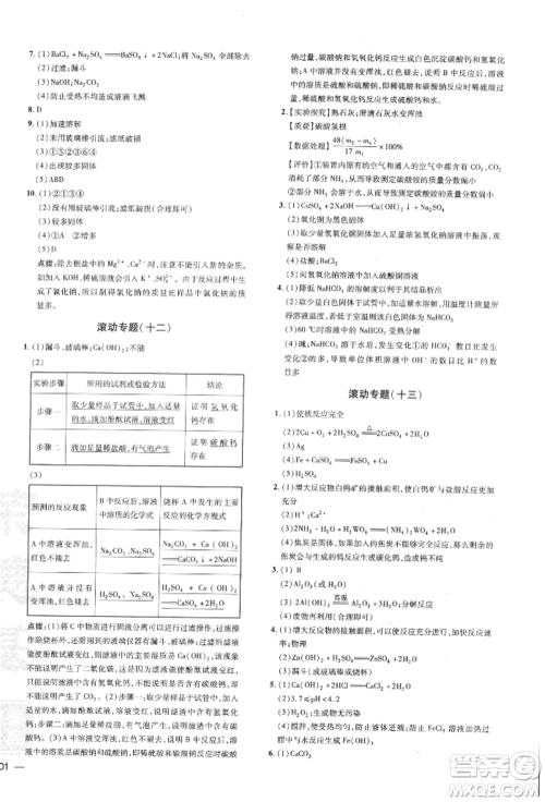 安徽教育出版社2022点拨训练课时作业本九年级下册化学人教版安徽专版参考答案