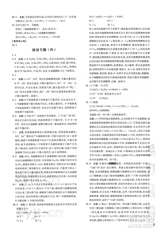 吉林教育出版社2022点拨训练课时作业本九年级下册化学沪教版参考答案
