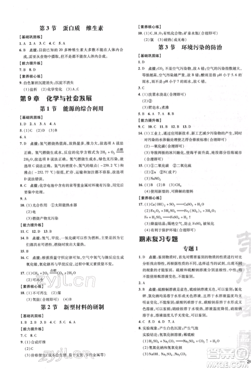 吉林教育出版社2022点拨训练课时作业本九年级下册化学沪教版参考答案