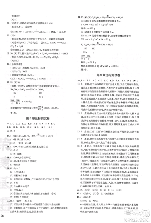 吉林教育出版社2022点拨训练课时作业本九年级下册化学沪教版参考答案