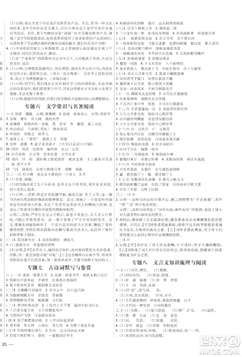 吉林教育出版社2022点拨训练课时作业本九年级下册语文人教版参考答案