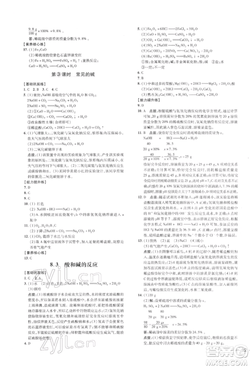 吉林教育出版社2022点拨训练课时作业本九年级下册化学科学版参考答案