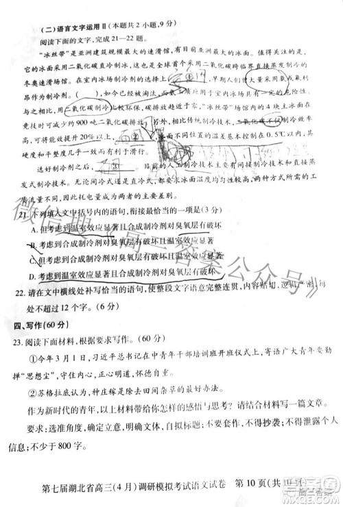 2022年第七届湖北省高三4月调研模拟考试语文试题及答案