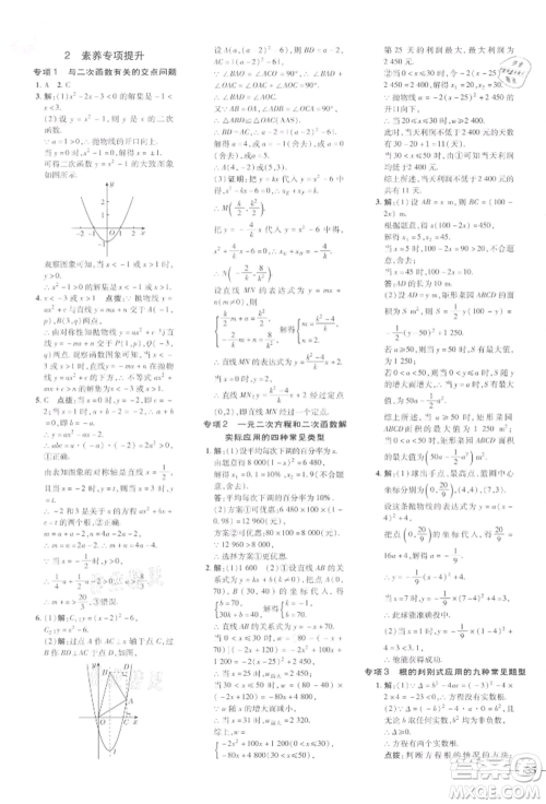 安徽教育出版社2022点拨训练课时作业本九年级下册数学北师大版参考答案