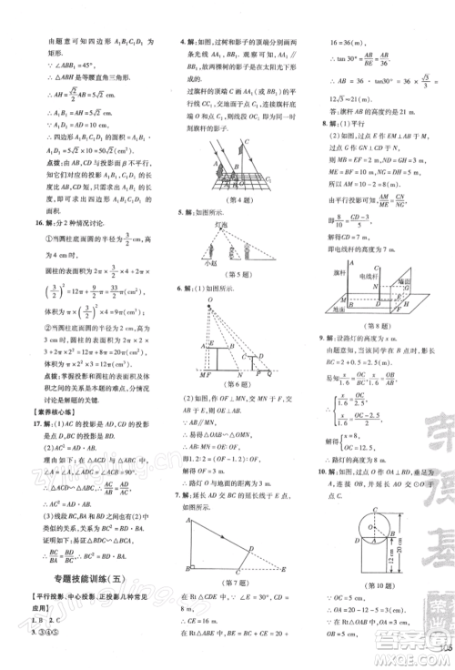 吉林教育出版社2022点拨训练课时作业本九年级下册数学沪科版安徽适用参考答案