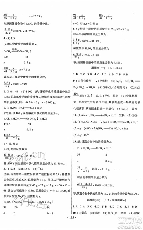 新疆文化出版社2022课时掌控九年级化学下册RJ人教版答案