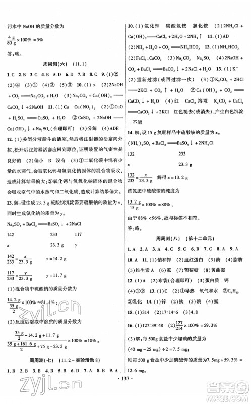 新疆文化出版社2022课时掌控九年级化学下册RJ人教版答案