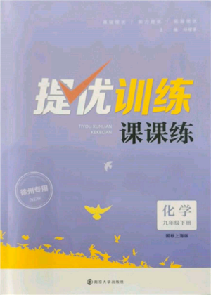 南京大学出版社2022提优训练课课练九年级下册化学上海版徐州专版参考答案