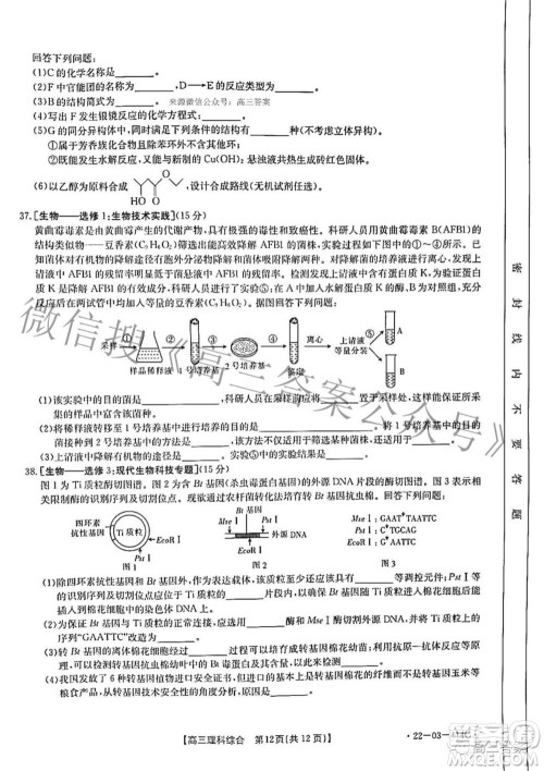 2022年4月河南省高三模拟考试理科综合试题及答案 2022年4月河南省高三模拟考试理科综合试题及答案