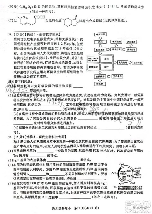 广西四市2022届高中毕业班4月教学质量检测试题理科综合试题及答案